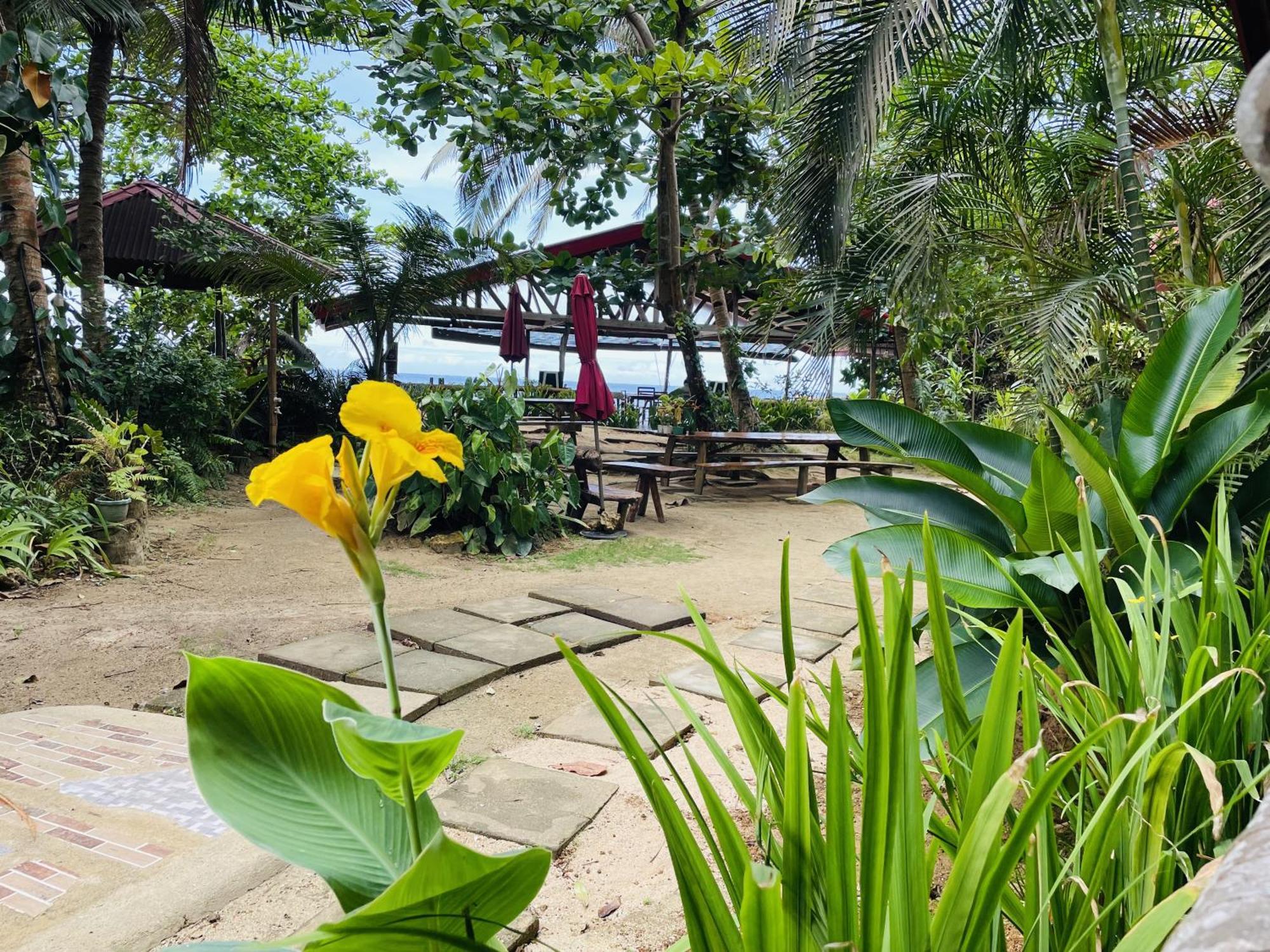 White Beach Front And Cottages Buruanga Экстерьер фото